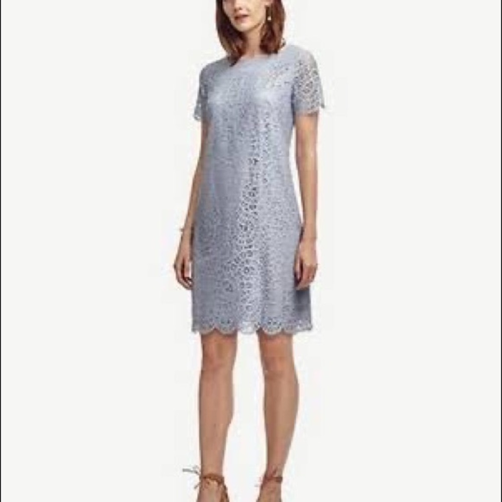 Ann Taylor Laced Lined shift blue mini dress